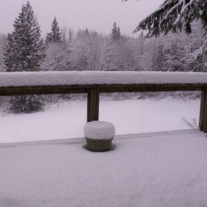 Snow on Back Deck 12-25-08 (Resized)