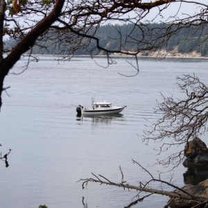 San Juan Islands cruise 8-2012