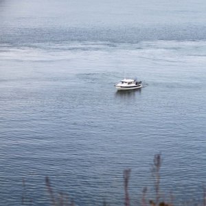 San Juan Island cruise 8-2012