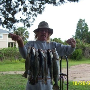 A few trout