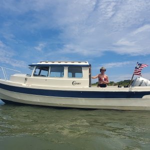 Assateague Island beach day