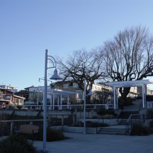 Friday Harbor on Sunday Evening, March 11th