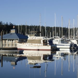 Friday Harbor on Sunday Evening, March 11th