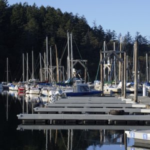Friday Harbor on Sunday Evening, March 11th