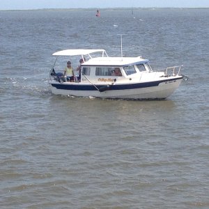 IMG 0295