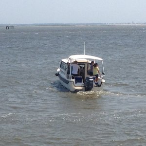 IMG 0298
