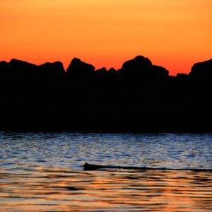 Flotsam-at-sunset-Edmonds-Marina