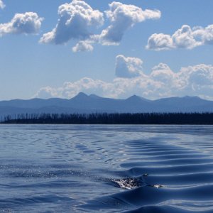 Final Image