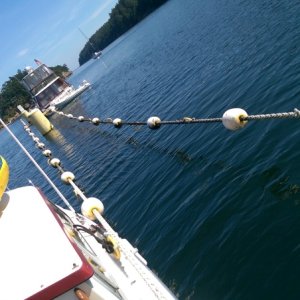 Linear Moorage Echo Bay / Sucia