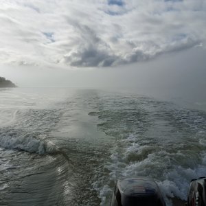 Leaving the fog behind