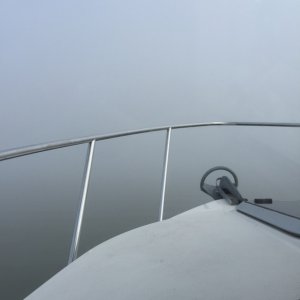 Foggy morning!