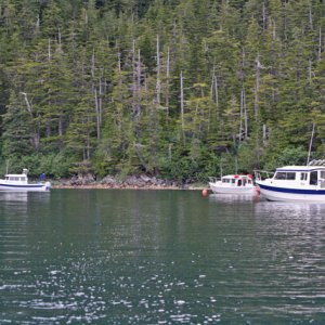 Three of the C-Brats at anchor in Day Care Bay.