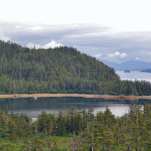 Day Care Bay from the ridge.
