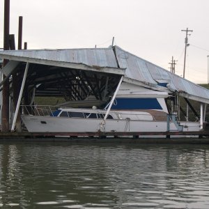 Aftermath of the Pacific NW Snow Storm.