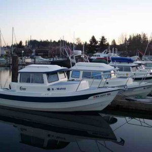 20060311 - 22 Poulsbo C-Dory Gathering - 17 C-Dorys Total