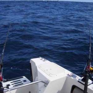 20060610 - 09 Newport Halibut Trip - Come on Fishy