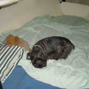 20060722 - 20 San Juans w Brother & Sister in law - Went to bed already