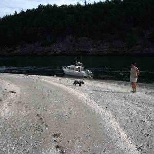 20060722 - 24 San Juans w Brother & Sister in law - Dog likes the beach