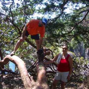 20060722 - 29 San Juans w Brother & Sister in law - Neat tree on Matia