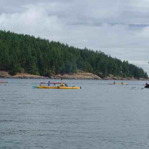 20060729 - 21 San Juans w Amy\'s Parents & Sister - Kayakers out of Blakely