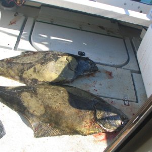 49 and 43 inch