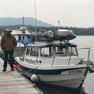 Jay at Wolf Bay photo by Bill Roche