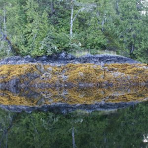 098 Rescue Bay (Jackson Passage) -0421