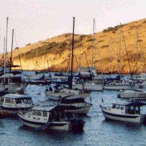 Symphony in C: Catalina '05