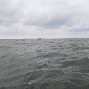 Sea Angel heading for Lankford