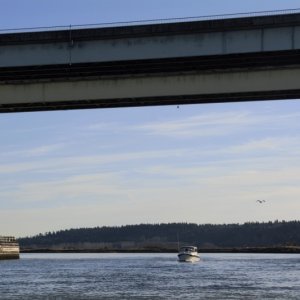 035 - Brock under Twin Bridges