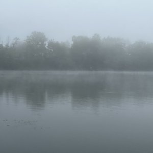 Seneca Falls in the Fog