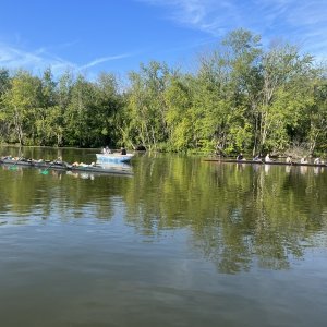 Syracuse Chargers Rowing Club