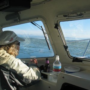 Ice off Strawberry Point, Whidbey Island- low 20's, no wind, low tidal exchange