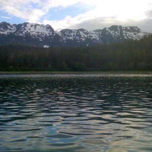 Looking for bears along the shore.  They stick to the tree line.  Hard to photograph.