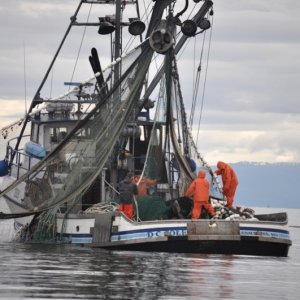 Purse Seiner in Chatham Strait