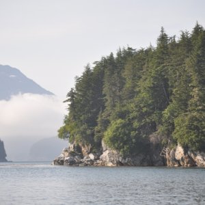Mosquito Cove anchorage, Inian Islands