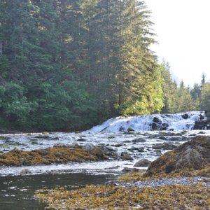 River entering Pavlof Harbor anchorage