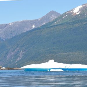 Wild blue iceberg grounded at entrance to Tracy Arm