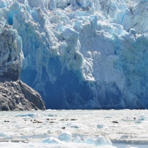 South Sawyer Glacier, Tracy Arm