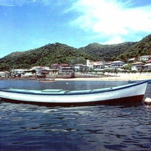 A \"bongo\" at Taboga Island, not a \"bong?\"