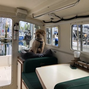 Ivar likes his new bed