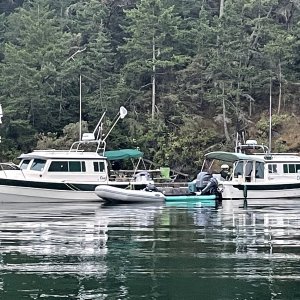 3774C40D-5D9B-4B2A-93EC-5E9C49EC8403