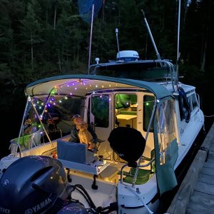 13C84B7C-D9C6-4315-B11F-467C65AEC589