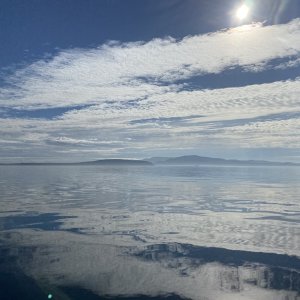 B4F8673E-26FE-47A4-AEC5-1B37D5F4ADD2