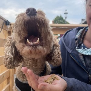 21B8D07D-75A9-4F42-83C1-B7C3EA090623