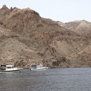 Lake Mohave hunting sheep