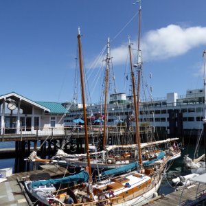 Classic sailing boats at Friday Harbor
