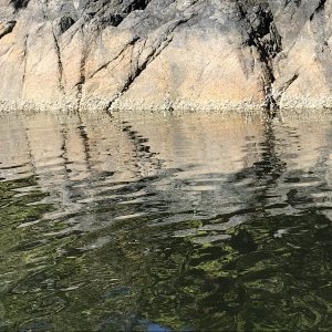 Calm in Allison