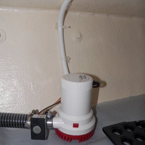 Pump switches were getting bad reviews, so I went with a new-fangled water sensing switch.  The wiring is in a plastic coated flexible aluminum conduit left over from another project.  Looks like it will work great.