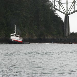 IMG 0375